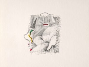 Obras de Rita de Souza exploram o bordado e o desenho como formas de reconstruir memórias a partir da chita, em exposição gratuita na Casa Fiat de Cultura