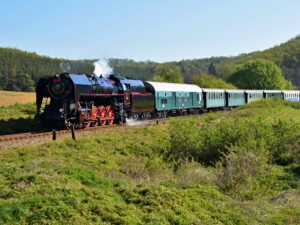 Locomotiva a vapor preta com rodas vermelhas puxa vagões verdes em trilhos, com floresta