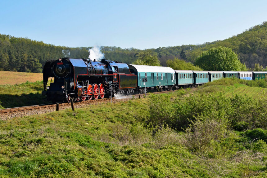 Locomotiva a vapor preta com rodas vermelhas puxa vagões verdes em trilhos, com floresta