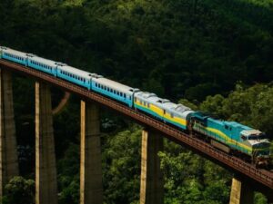 Um trem azul e amarelo atravessa um viaduto alto sobre uma floresta densa e verde.