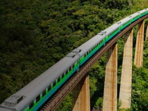 Trem longo verde e cinza em viaduto alto de concreto sobre floresta densa.