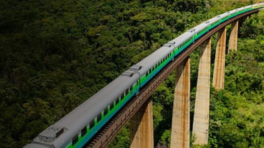 Trem longo verde e cinza em viaduto alto de concreto sobre floresta densa.