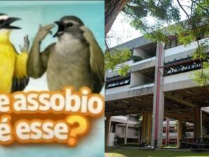 Montagem de figurinha de assobio com pássaros e Fafich - UFMG