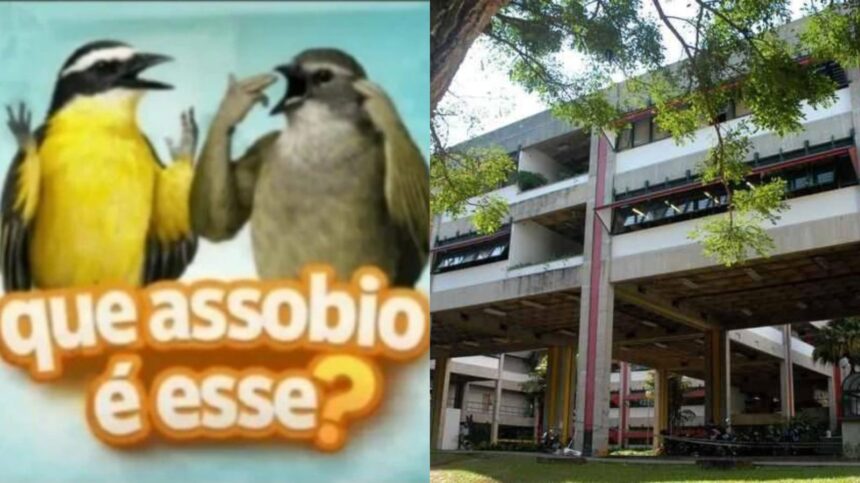 Montagem de figurinha de assobio com pássaros e Fafich - UFMG