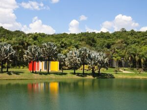 Instalações de arte coloridas refletidas em lago, rodeadas por palmeiras e floresta exuberante.
