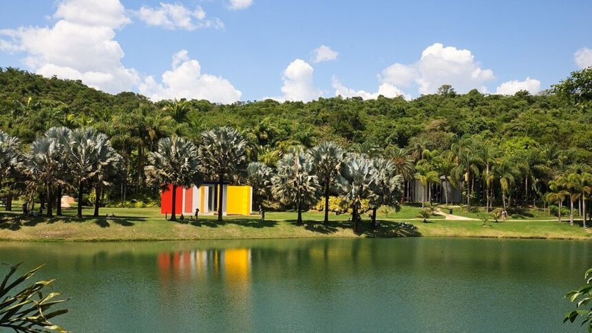 Instalações de arte coloridas refletidas em lago, rodeadas por palmeiras e floresta exuberante.