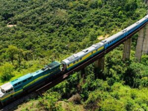 Trem azul e amarelo em viaduto alto curvo sobre floresta verde densa, vista aérea.