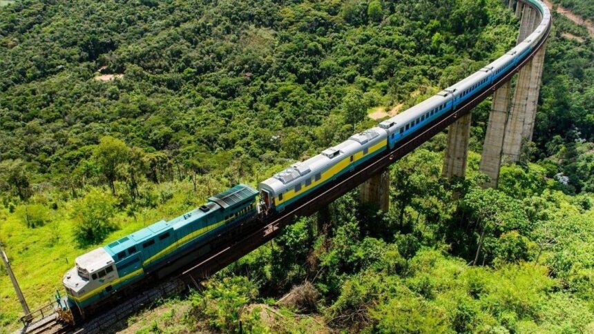 Trem azul e amarelo em viaduto alto curvo sobre floresta verde densa, vista aérea.