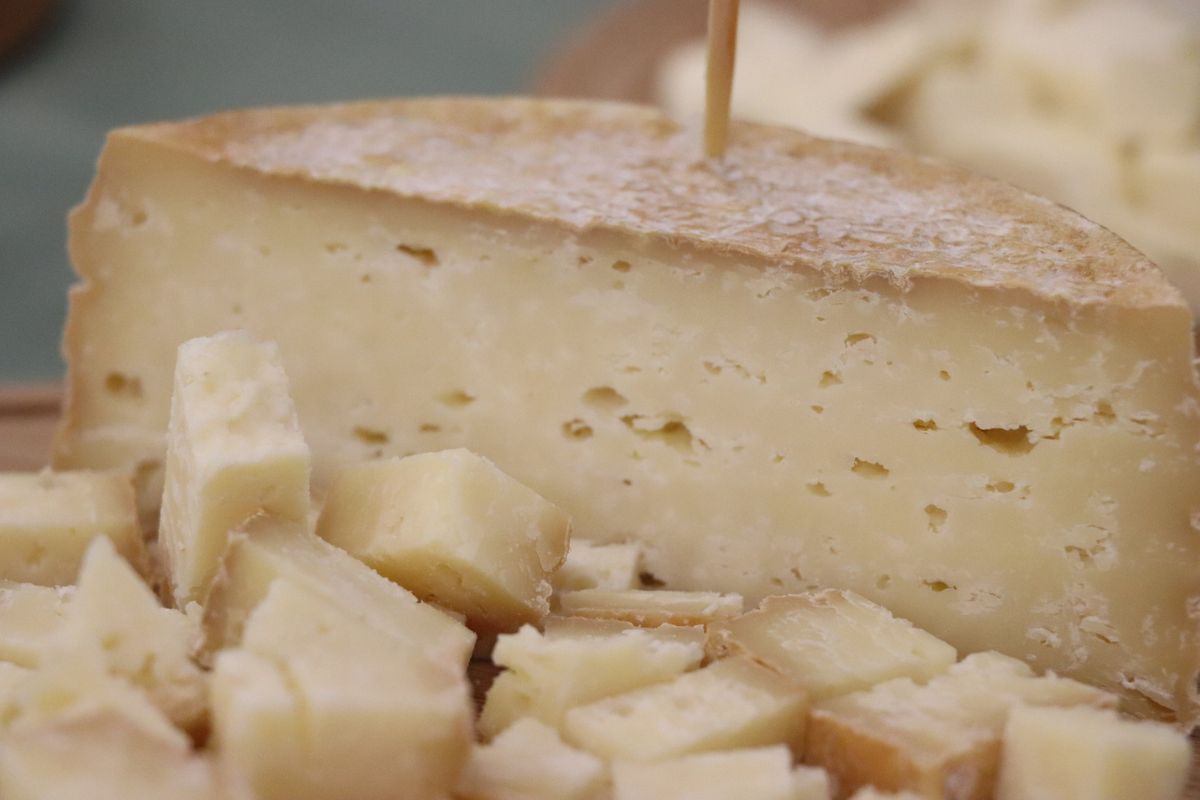 O Festival do Queijo Artesanal de Minas promete reunir sabores, tradição e experiências gastronômicas especiais - (foto: Divulgação)