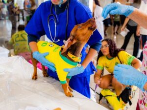 Evento gratuito no Shopping Estação BH reúne feira pet, adoção responsável, puppy yoga e atrações para cães e tutores até domingo