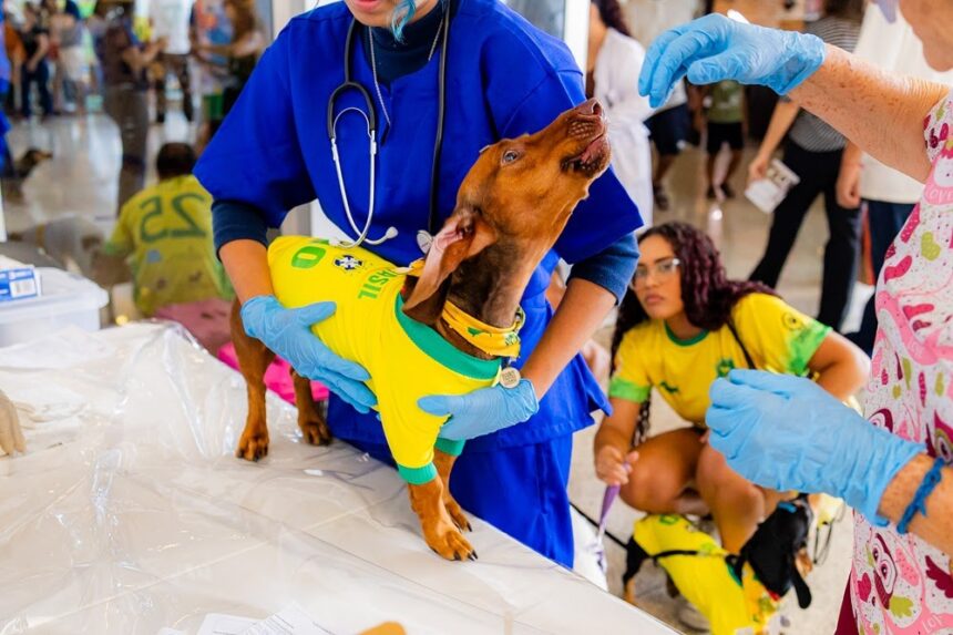 Evento gratuito no Shopping Estação BH reúne feira pet, adoção responsável, puppy yoga e atrações para cães e tutores até domingo