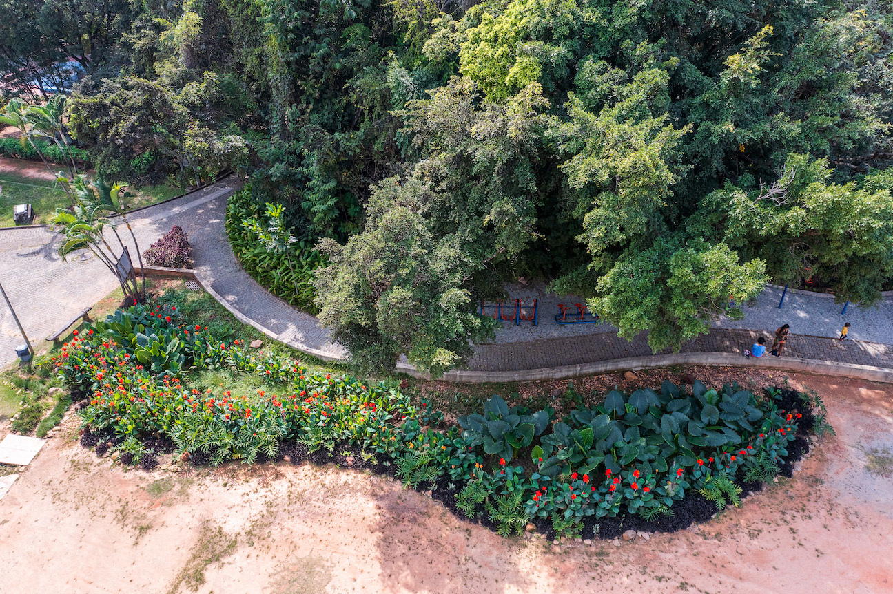 Área verde do Parque Lagoa do Nado, no bairro Itapoã, em Belo Horizonte