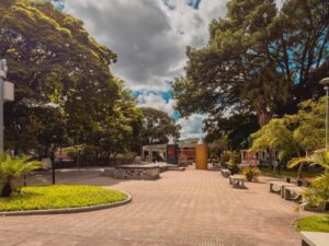 Praça pública arborizada com caminhos pavimentados, bancos e estruturas coloridas de lazer sob céu nublado.