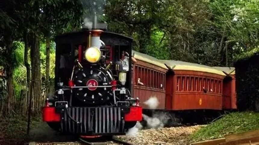 Locomotiva a vapor preta e vermelha puxa vagões de madeira por trilhos em meio a árvores.