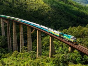Trem de passageiros colorido em longo viaduto sobre floresta verde exuberante.