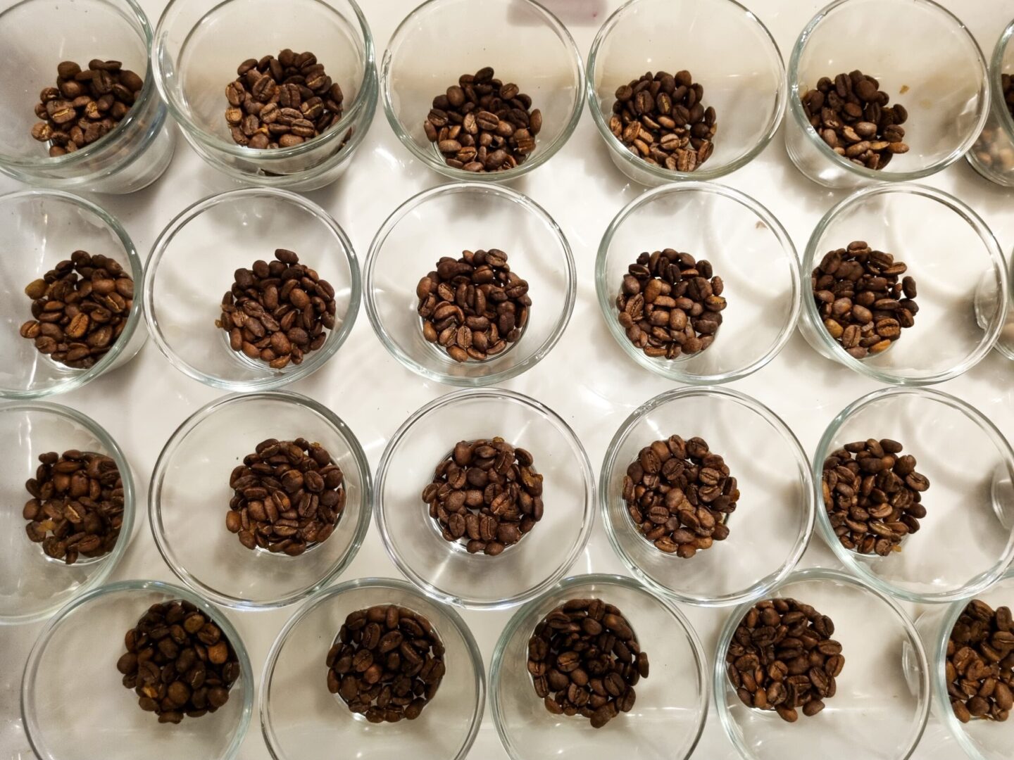 Minas anuncia nova edição de concurso de qualidade de café; veja como se inscrever