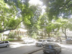 Avenida Prudente de Morais, no Coração de Jesus
