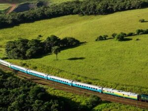 Trem longo e colorido atravessando um vale verdejante com florestas densas e colinas gramadas.