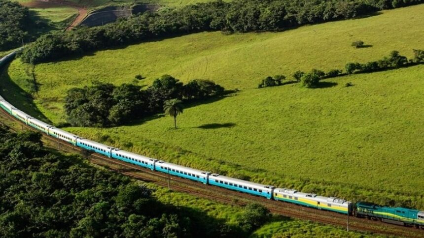 Trem longo e colorido atravessando um vale verdejante com florestas densas e colinas gramadas.