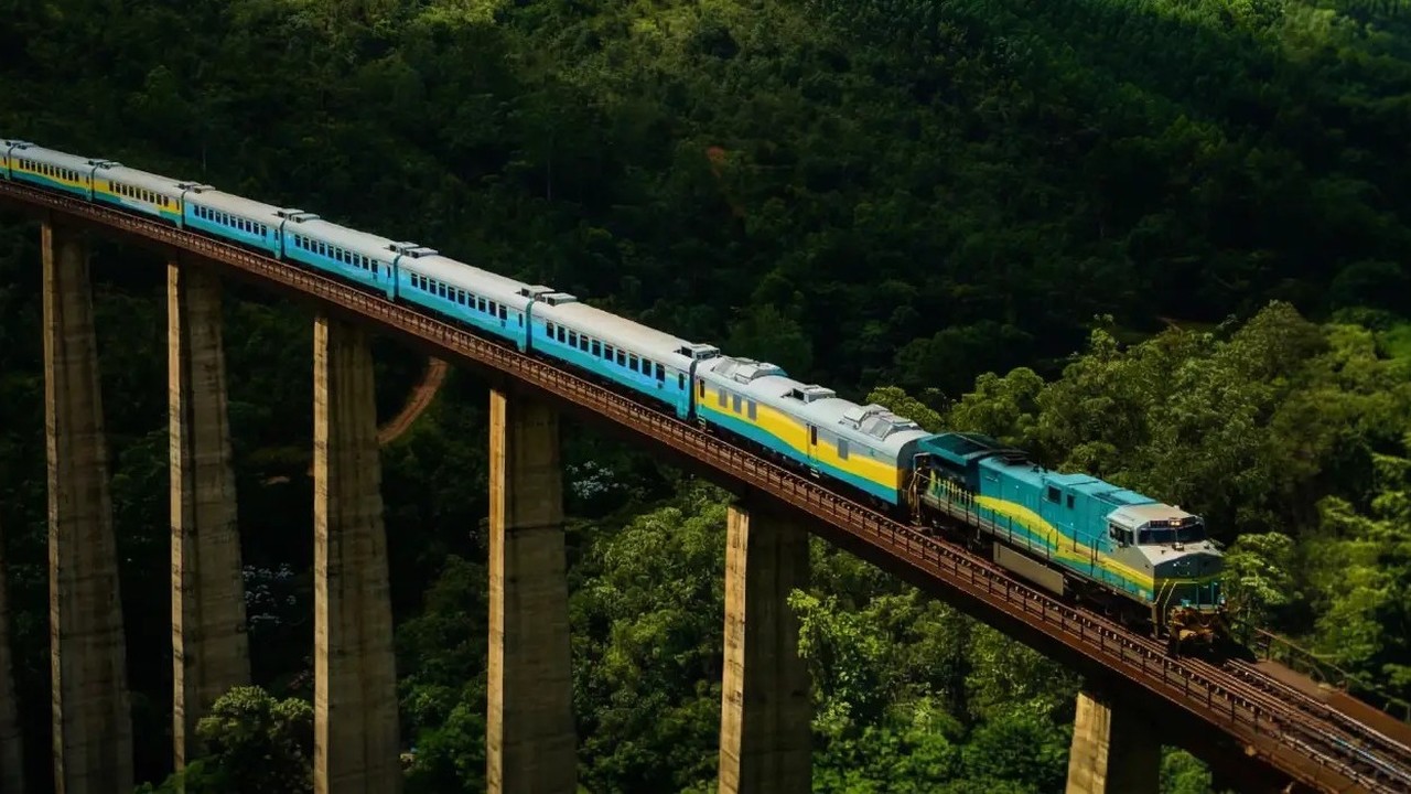 Trem azul e amarelo em um viaduto alto em uma densa floresta.
