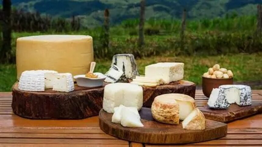 Variedade de queijos artesanais em tábuas de madeira, com fundo de montanhas verdes.
