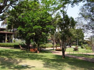 Um parque com gramado verde, árvores frondosas, caminho pavimentado e um edifício com telhado ao fundo.