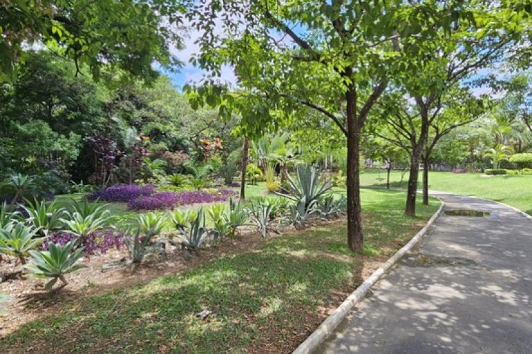 Parque Cássia Eller recebe programação especial em comemoração aos 24 anos