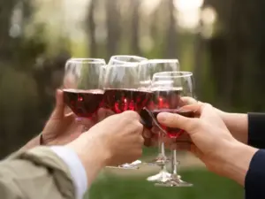 festival de vinho