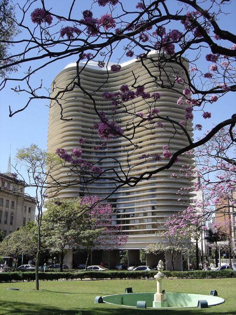 ipê em BH