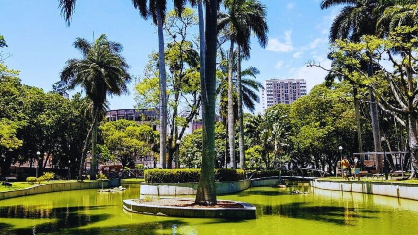 Um lago verde cercado por palmeiras e árvores em um parque urbano