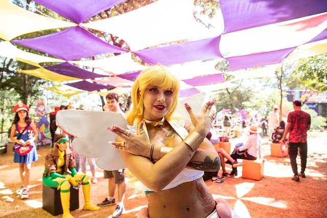 (foto: Janine Moraes/PMC)