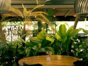 O Jardim Bar e Cozinha, no bairro Santa Lúcia, em Belo Horizonte, encerra as atividades no atual endereço em 23 de agosto. A casa avalia possibilidades para continuar o projeto em uma nova sede