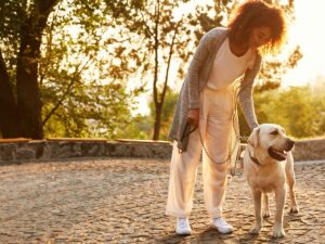 Mulher sorrindo, acariciando Labrador em passeio ao ar livre em caminho de paralelepípedos