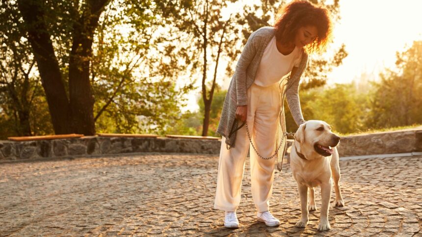 Mulher sorrindo, acariciando Labrador em passeio ao ar livre em caminho de paralelepípedos