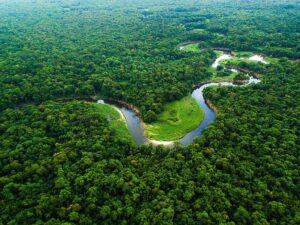 A Amazônia reúne uma das maiores biodiversidades do planeta e ocupa diferentes países da América do Sul