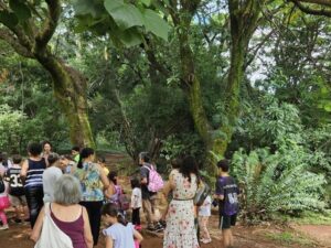 Parques municipais de Belo Horizonte recebem trilhas guiadas e atividades especiais em comemoração aos aniversários das áreas verdes
