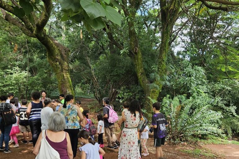 Parques de BH celebram aniversários com trilhas guiadas a partir desta quinta-feira (24)