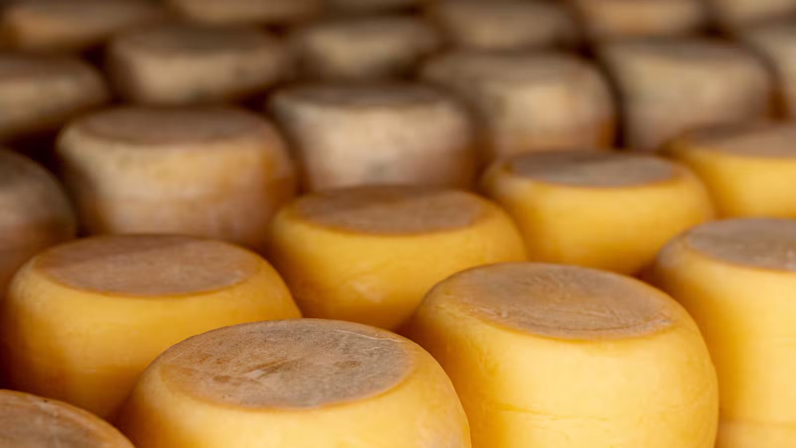Confraria destaca presença feminina no universo do queijo artesanal em BH