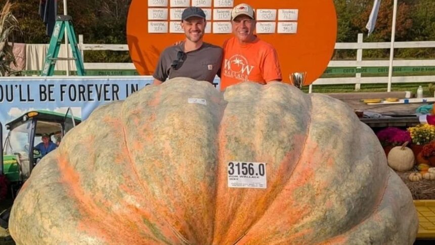 Dois homens sorrindo atrás de abóbora gigante com etiqueta 3156.0 RON WALLACE