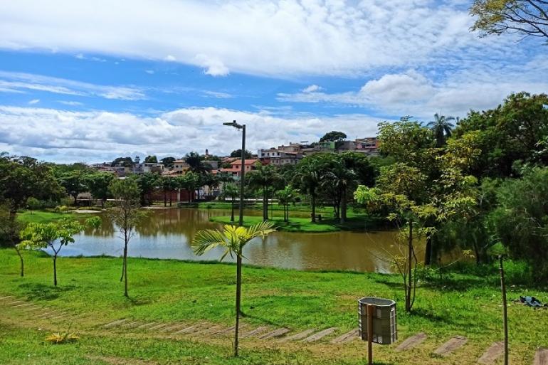 Parque Nossa Senhora da Piedade recebe caminhada ecológica gratuita com circuito dedicado às abelhas sem ferrão