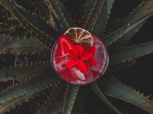 Caipi de Flores Vermelhas integra o menu especial do festival Bebedouro em Flor, em Belo Horizonte