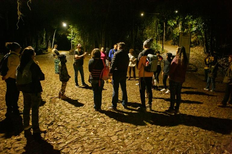 Trilha Noturna no Parque das Mangabeiras convida o público a conhecer os hábitos de anfíbios, como sapos, rãs e pererecas, e a biodiversidade da Serra do Curral